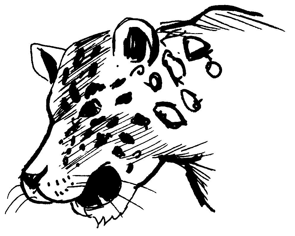 Página para colorir: Leopardo (animais) #9807 - Páginas para Colorir Imprimíveis Gratuitamente