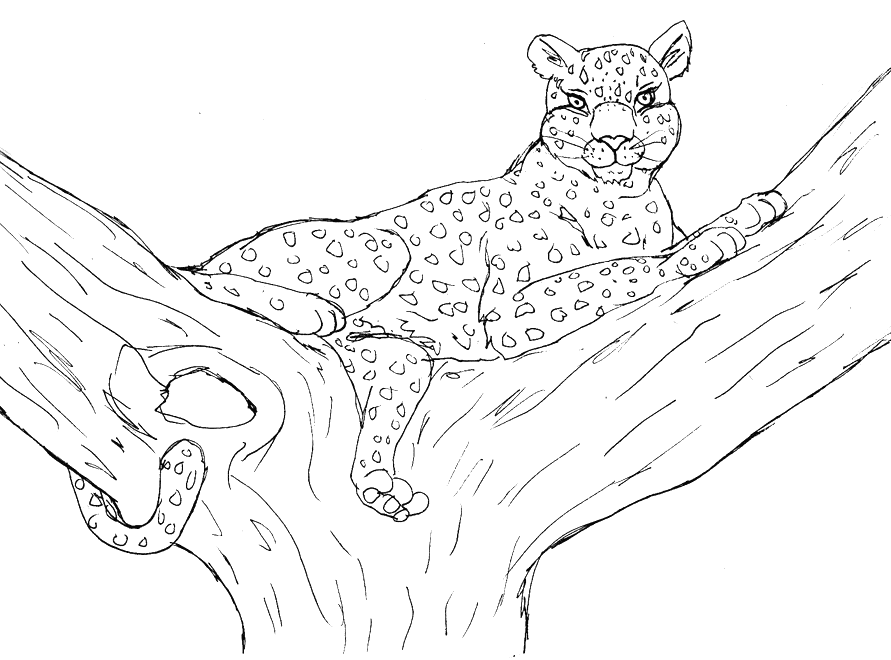 Página para colorir: Leopardo (animais) #9810 - Páginas para Colorir Imprimíveis Gratuitamente