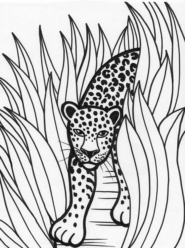 Página para colorir: Leopardo (animais) #9825 - Páginas para Colorir Imprimíveis Gratuitamente