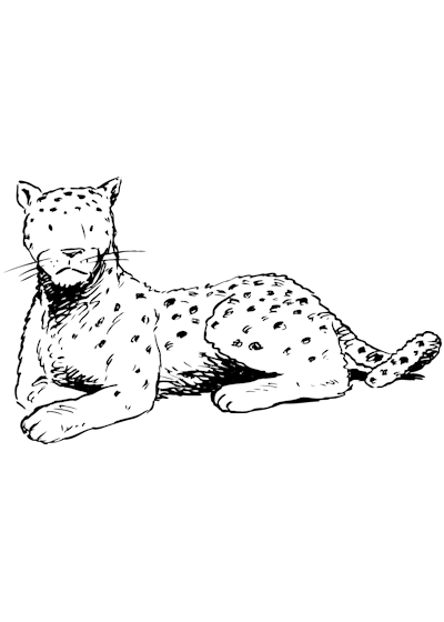 Página para colorir: Leopardo (animais) #9835 - Páginas para Colorir Imprimíveis Gratuitamente