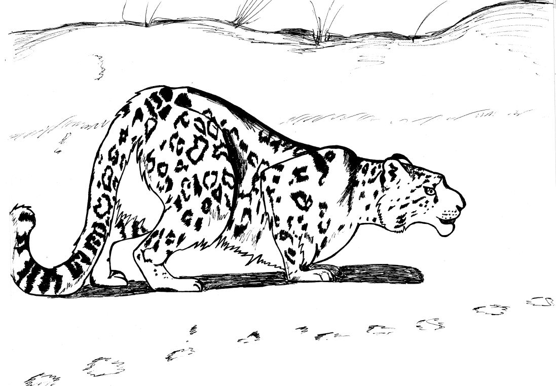 Página para colorir: Leopardo (animais) #9836 - Páginas para Colorir Imprimíveis Gratuitamente