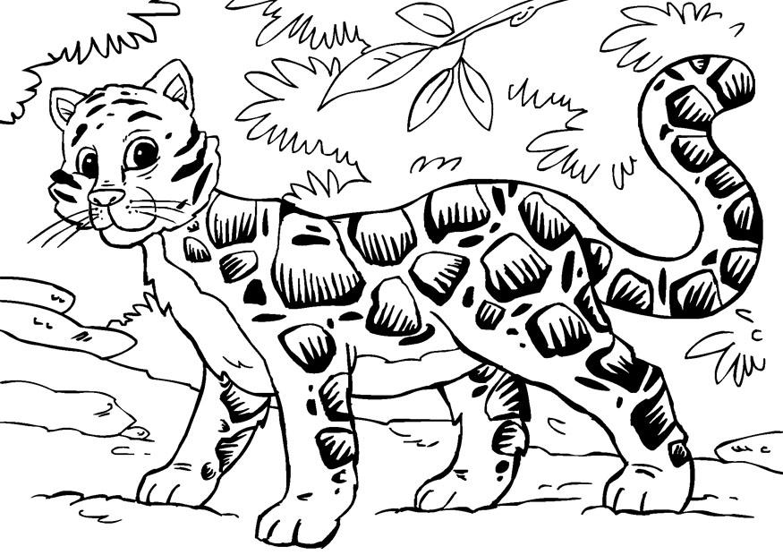 Página para colorir: Leopardo (animais) #9849 - Páginas para Colorir Imprimíveis Gratuitamente