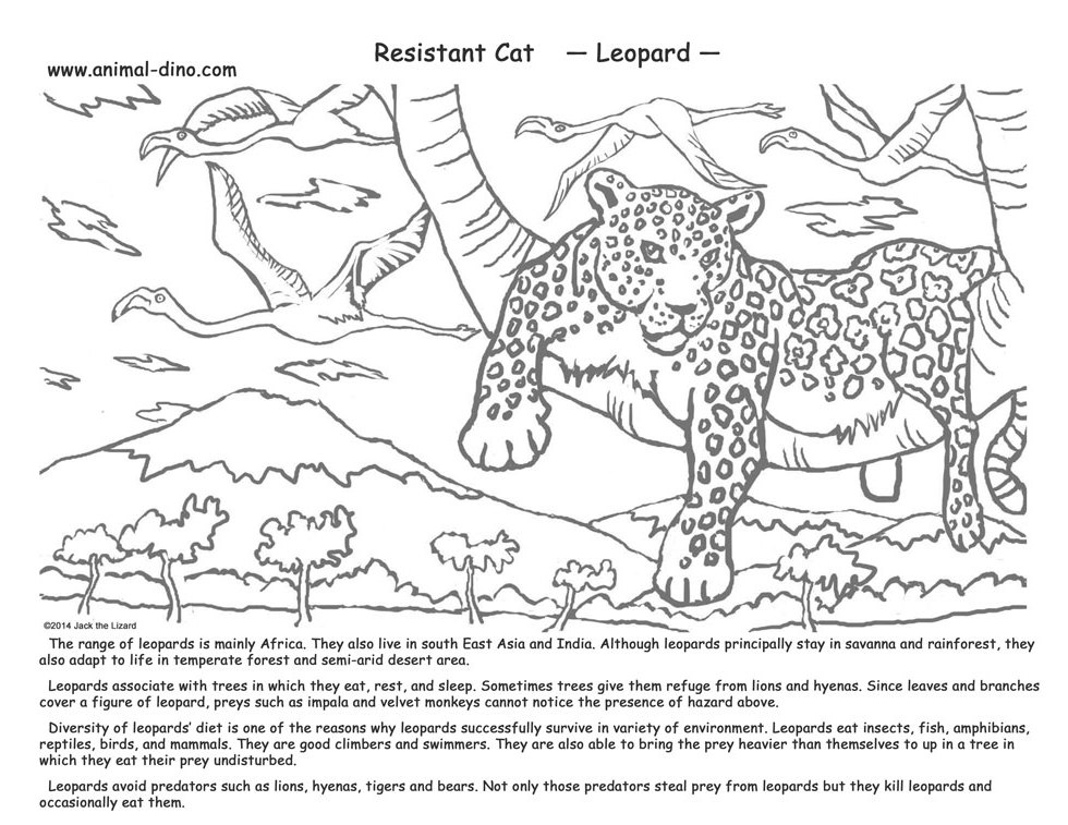 Página para colorir: Leopardo (animais) #9858 - Páginas para Colorir Imprimíveis Gratuitamente