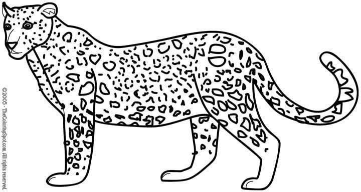 Página para colorir: Leopardo (animais) #9869 - Páginas para Colorir Imprimíveis Gratuitamente