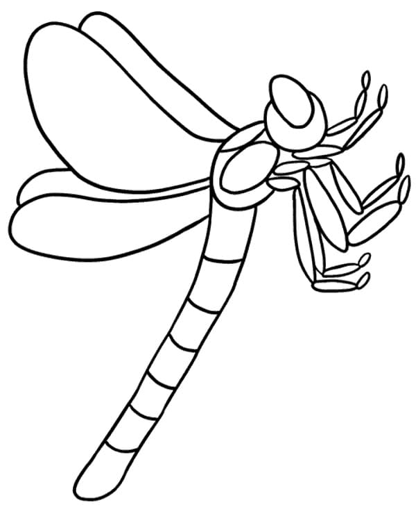 Desenho gratuito Libélula #196547 da colecao Animais para imprimir