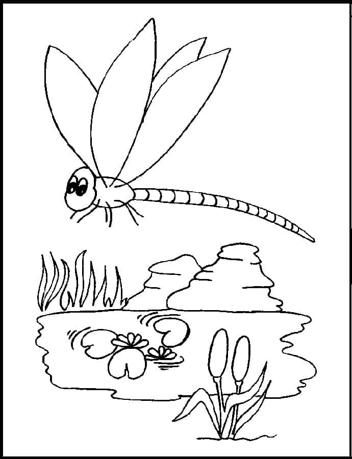 Desenho gratuito Libélula #196562 da colecao Animais para imprimir