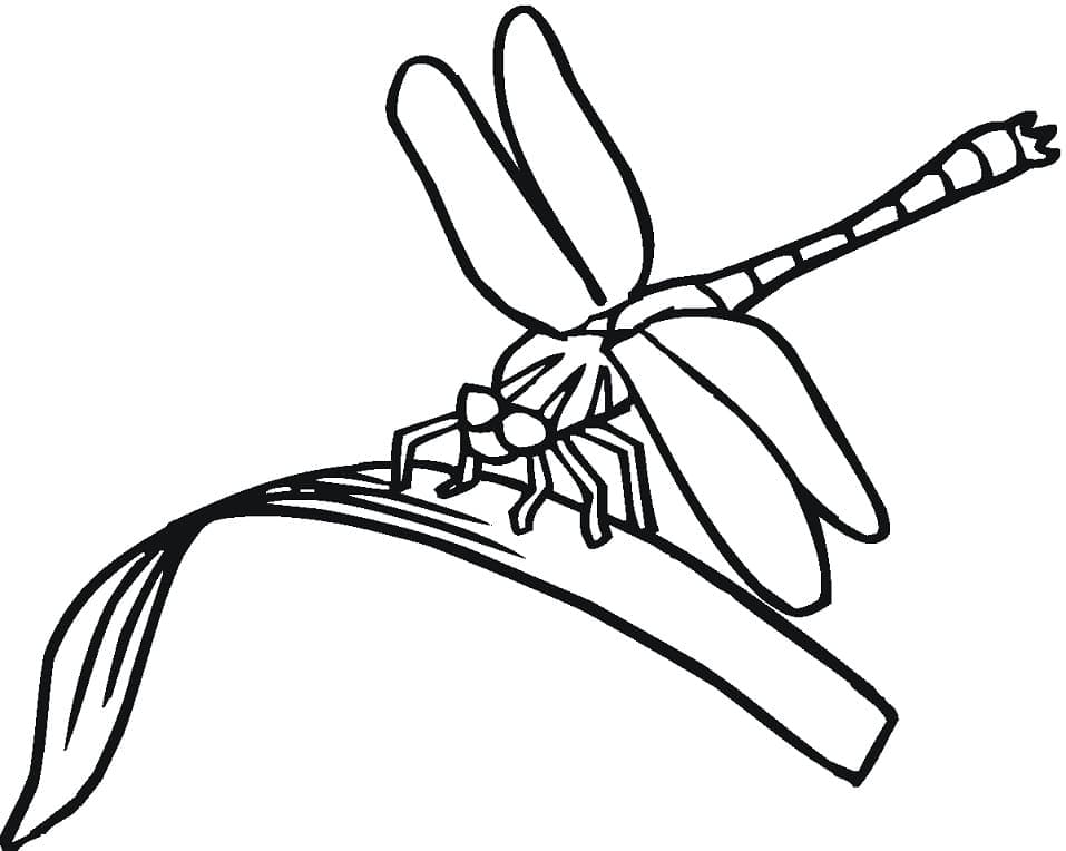 Desenho gratuito Libélula #196570 da colecao Animais para imprimir