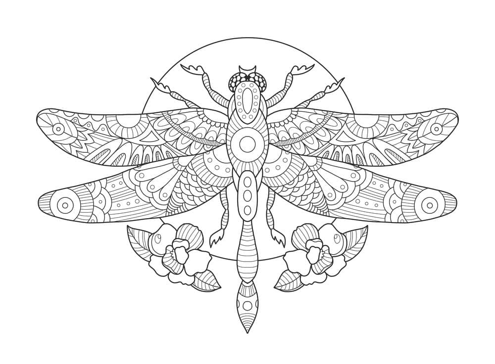 Desenho gratuito Libélula #196575 da colecao Animais para imprimir