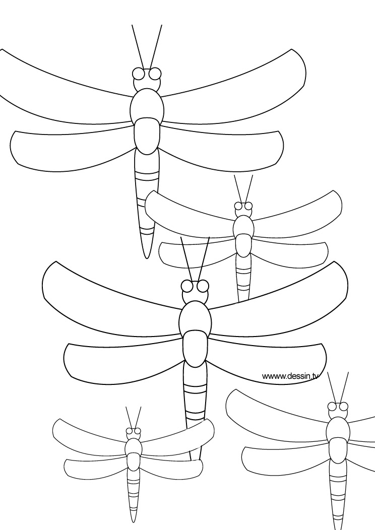 Página para colorir: Libélula (animais) #9903 - Páginas para Colorir Imprimíveis Gratuitamente