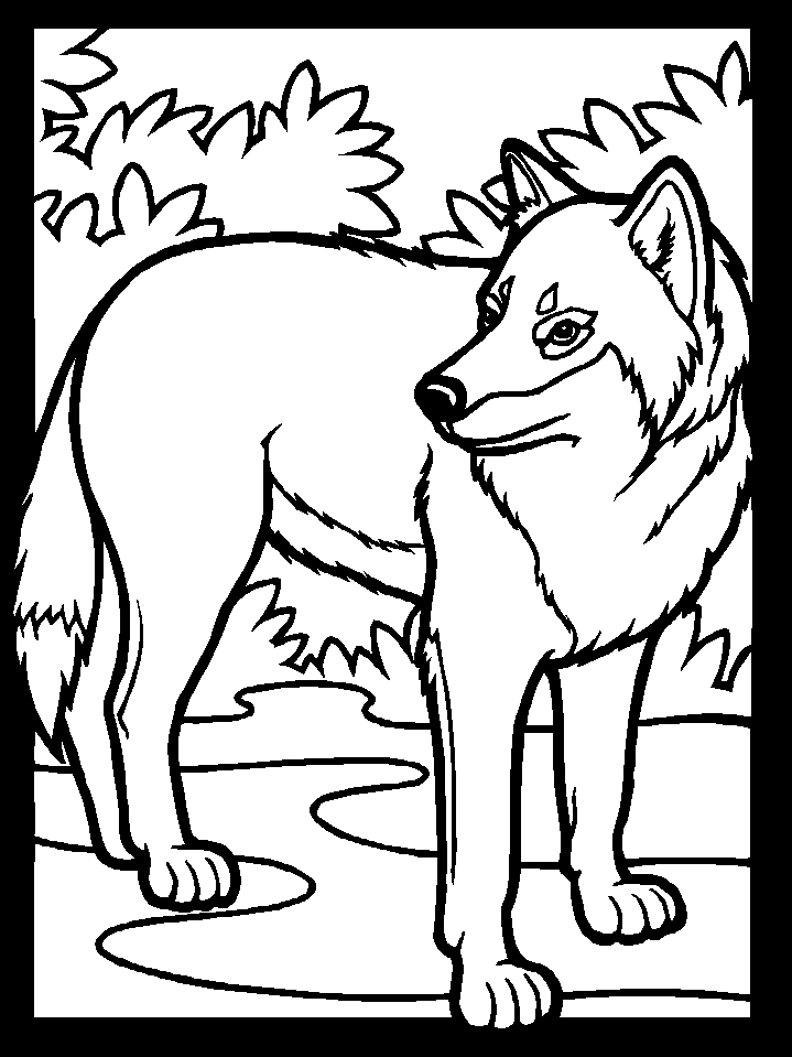 Página para colorir: Lobo (animais) #10440 - Páginas para Colorir Imprimíveis Gratuitamente