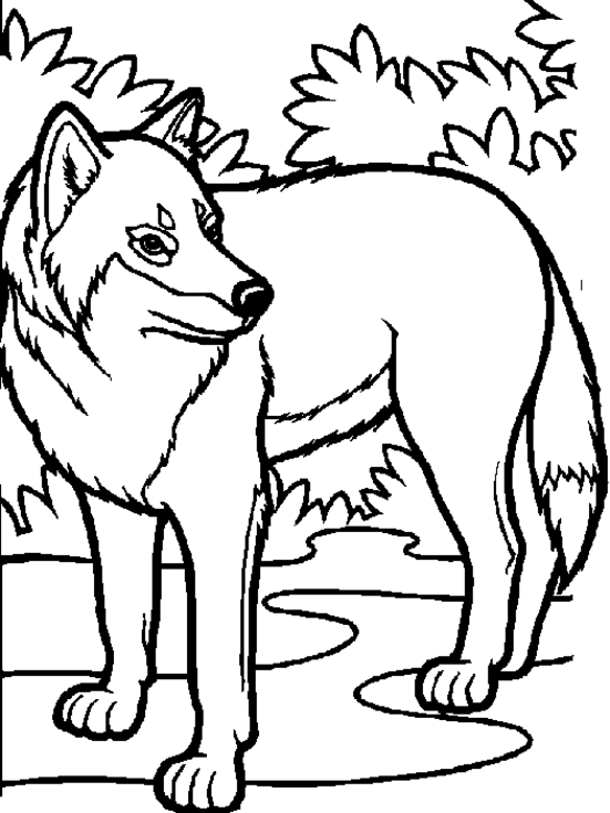 Página para colorir: Lobo (animais) #10448 - Páginas para Colorir Imprimíveis Gratuitamente