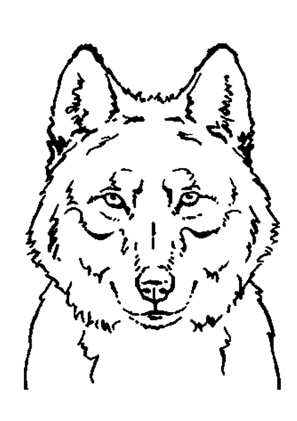 Página para colorir: Lobo (animais) #10450 - Páginas para Colorir Imprimíveis Gratuitamente