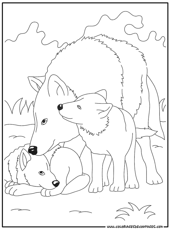 Página para colorir: Lobo (animais) #10491 - Páginas para Colorir Imprimíveis Gratuitamente