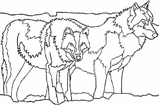 Página para colorir: Lobo (animais) #10535 - Páginas para Colorir Imprimíveis Gratuitamente