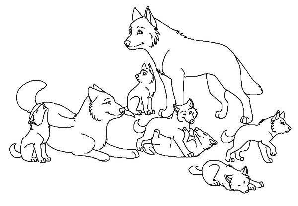 Página para colorir: Lobo (animais) #10556 - Páginas para Colorir Imprimíveis Gratuitamente