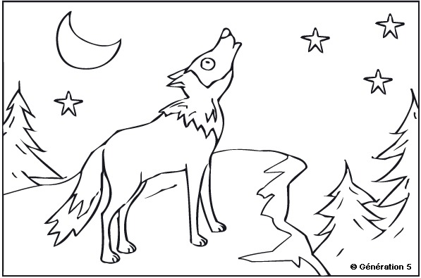 Página para colorir: Lobo (animais) #10558 - Páginas para Colorir Imprimíveis Gratuitamente