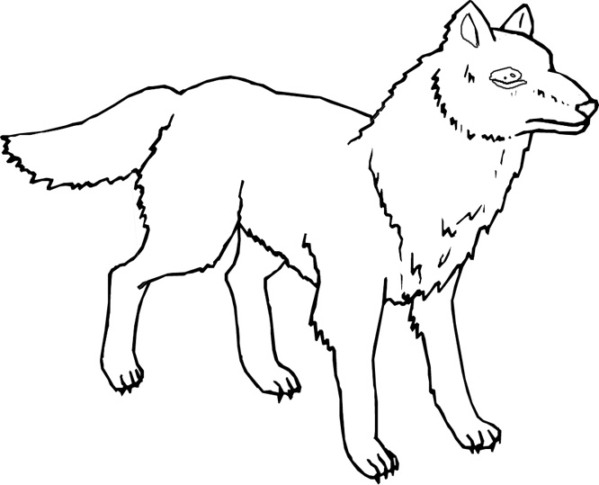 Página para colorir: Lobo (animais) #10600 - Páginas para Colorir Imprimíveis Gratuitamente