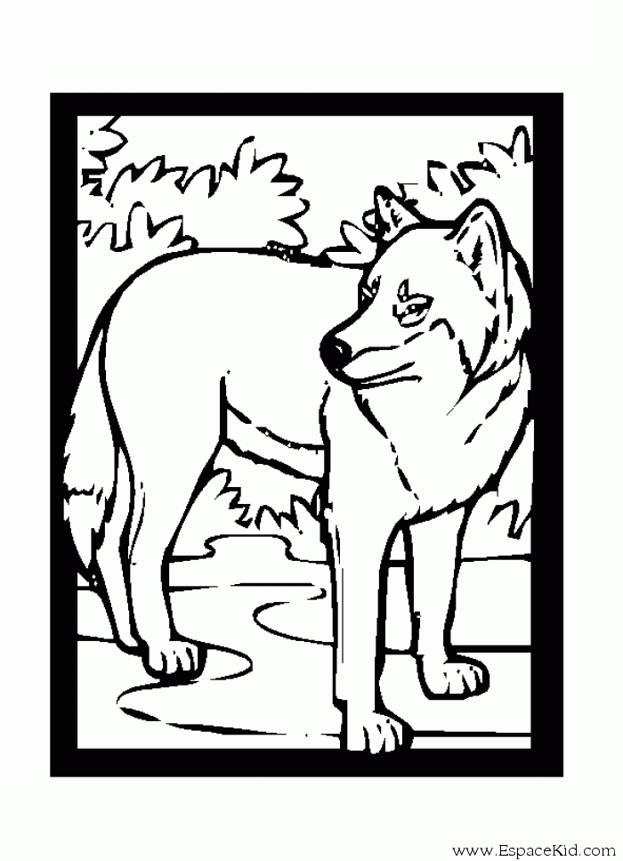 Página para colorir: Lobo (animais) #10603 - Páginas para Colorir Imprimíveis Gratuitamente