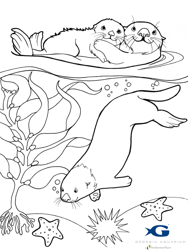 Página para colorir: Lontra (animais) #10645 - Páginas para Colorir Imprimíveis Gratuitamente