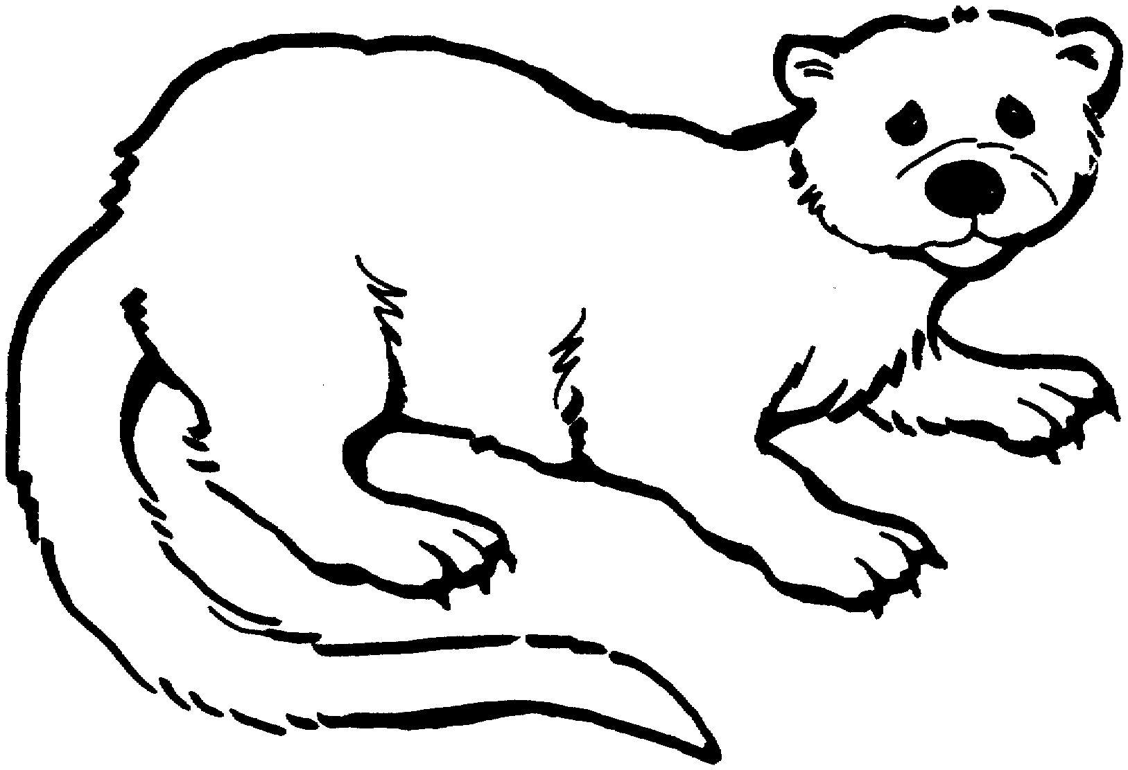 Página para colorir: Lontra (animais) #10653 - Páginas para Colorir Imprimíveis Gratuitamente