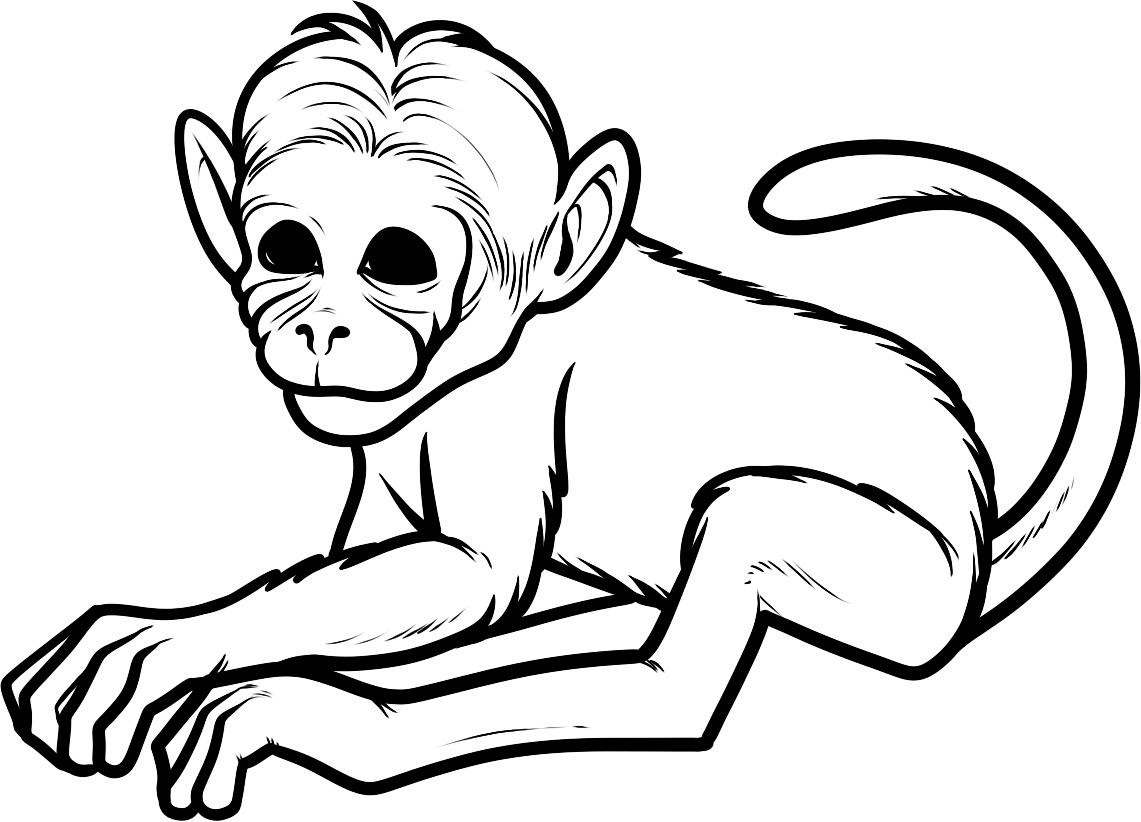 Página para colorir: Macaco (animais) #14142 - Páginas para Colorir Imprimíveis Gratuitamente