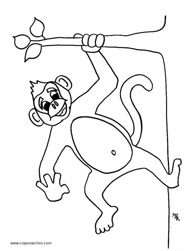 Página para colorir: Macaco (animais) #14155 - Páginas para Colorir Imprimíveis Gratuitamente