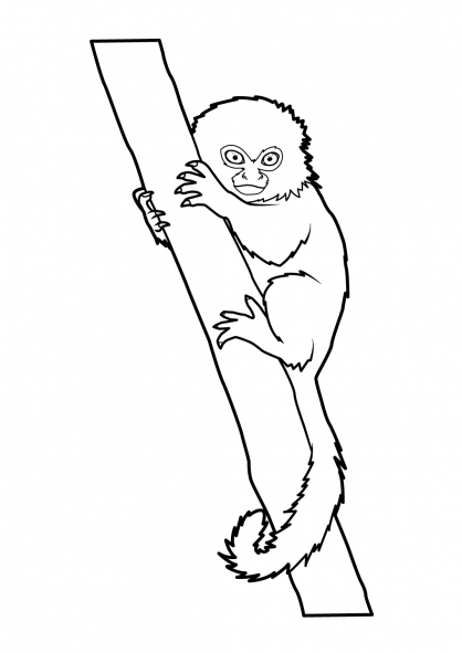 Página para colorir: Macaco (animais) #14168 - Páginas para Colorir Imprimíveis Gratuitamente