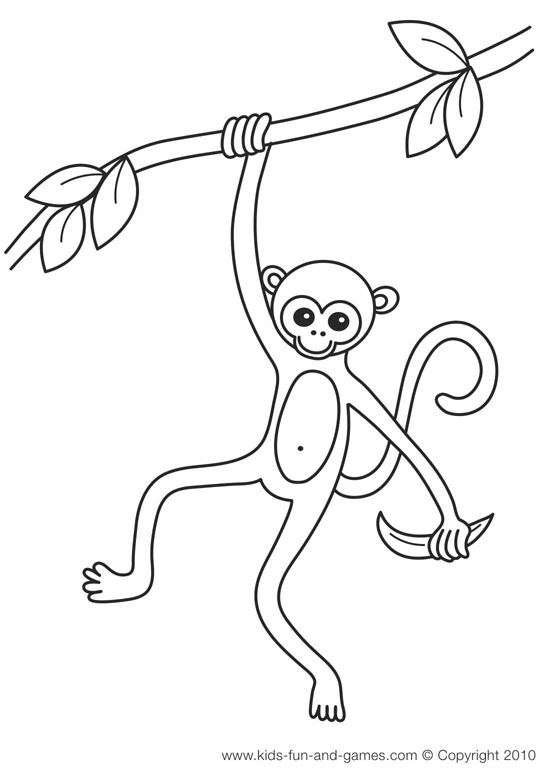 Página para colorir: Macaco (animais) #14184 - Páginas para Colorir Imprimíveis Gratuitamente