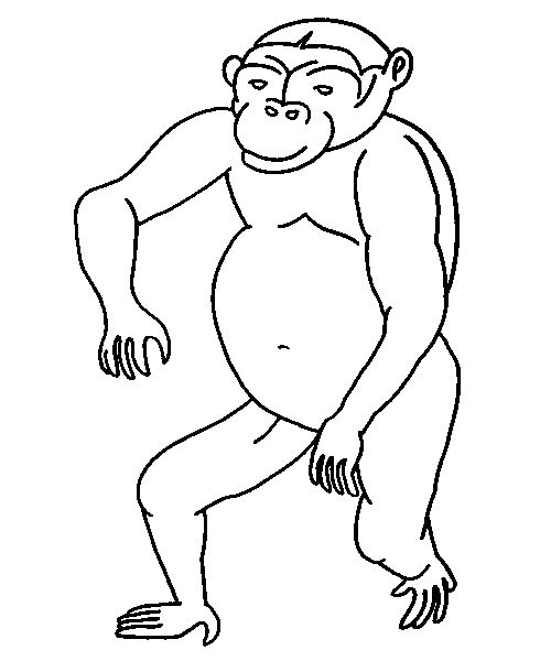 Página para colorir: Macaco (animais) #14187 - Páginas para Colorir Imprimíveis Gratuitamente