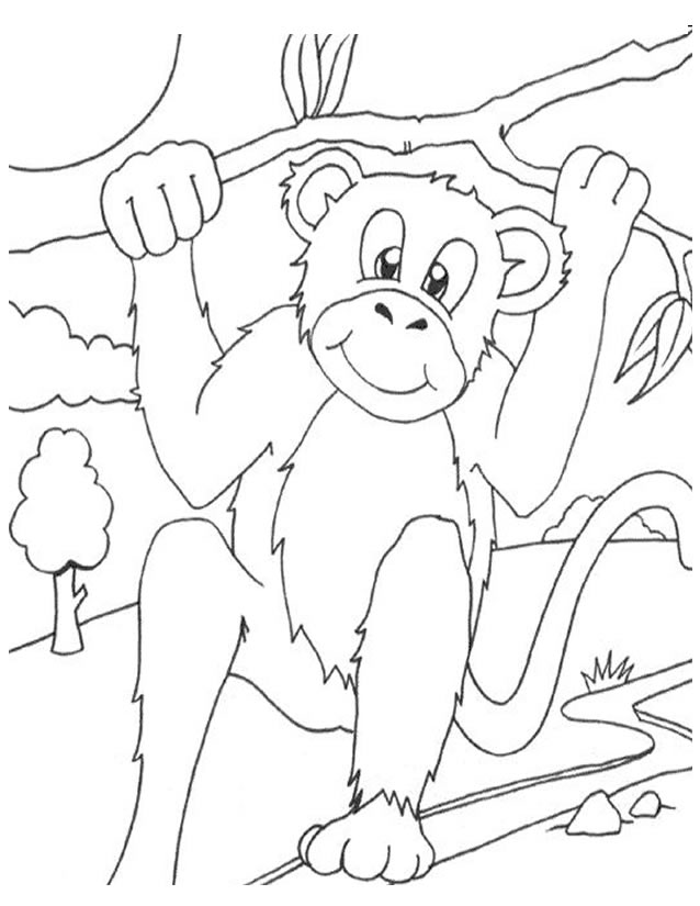 Página para colorir: Macaco (animais) #14252 - Páginas para Colorir Imprimíveis Gratuitamente