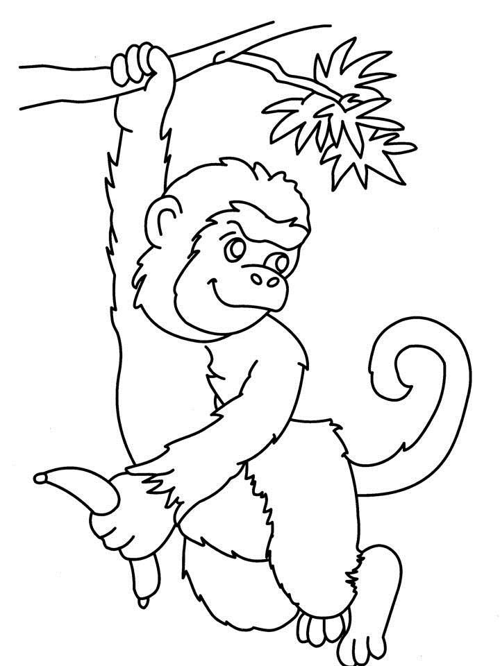 Página para colorir: Macaco (animais) #14254 - Páginas para Colorir Imprimíveis Gratuitamente