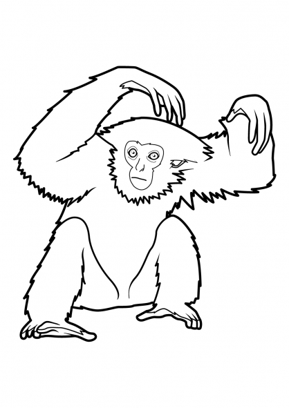 Página para colorir: Macaco (animais) #14261 - Páginas para Colorir Imprimíveis Gratuitamente