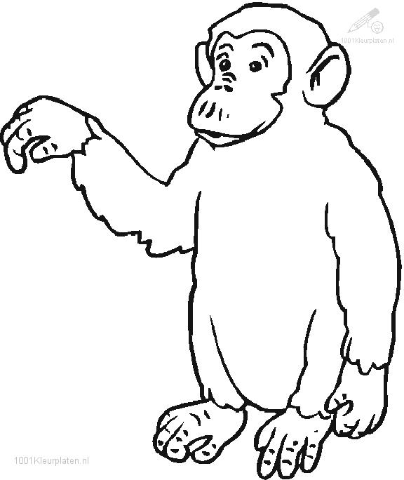 Página para colorir: Macaco (animais) #14304 - Páginas para Colorir Imprimíveis Gratuitamente