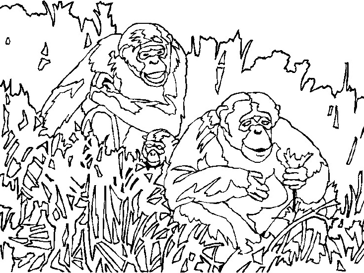 Página para colorir: Macaco (animais) #14331 - Páginas para Colorir Imprimíveis Gratuitamente