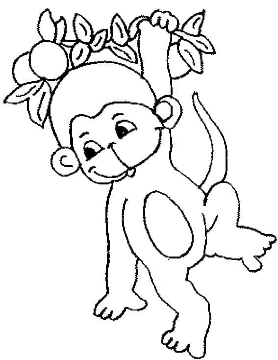 Desenho gratuito Macaco #175026 da colecao Animais para imprimir