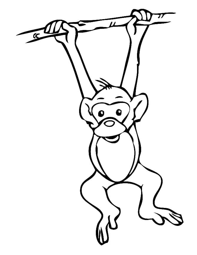 Desenho gratuito Macaco #216789 da colecao Animais para imprimir