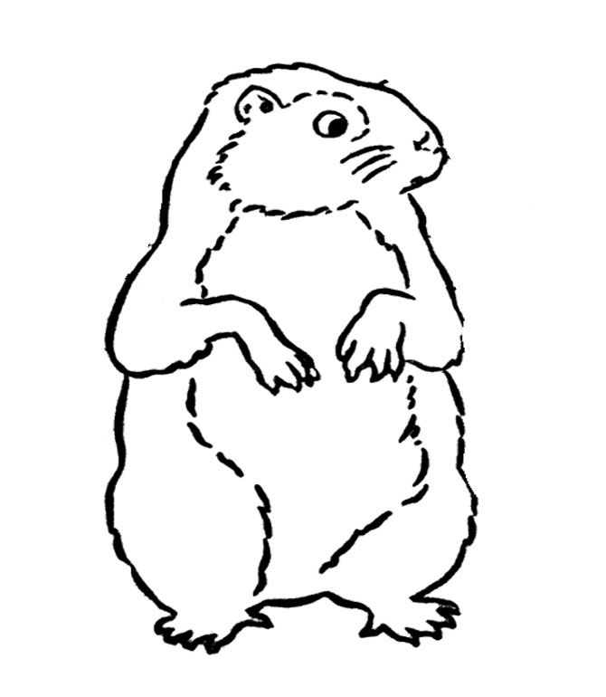 Página para colorir: Marmota (animais) #10985 - Páginas para Colorir Imprimíveis Gratuitamente