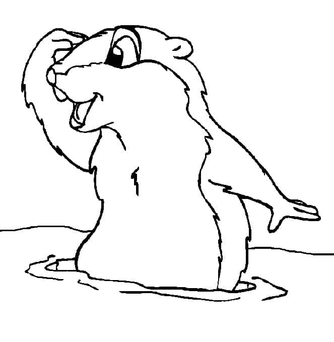 Desenho gratuito Marmota #212728 da colecao Animais para imprimir