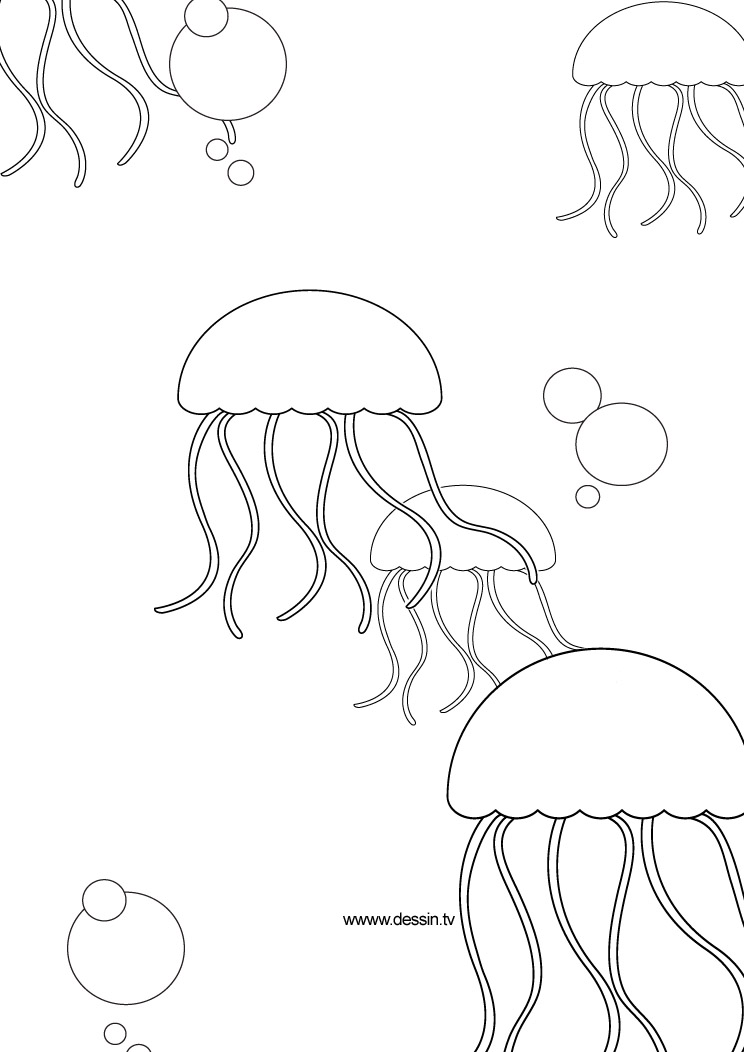 Página para colorir: Medusa (animais) #20481 - Páginas para Colorir Imprimíveis Gratuitamente