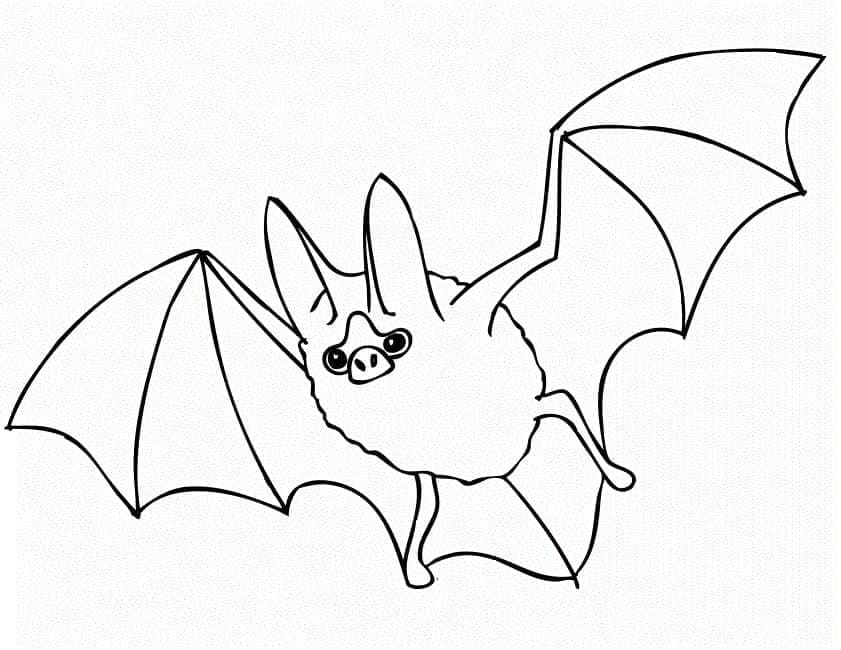 Desenho gratuito Morcego #212479 da colecao Animais para imprimir