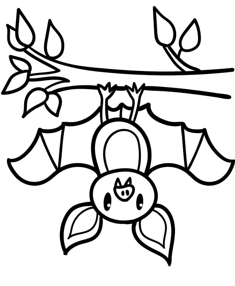 Desenho gratuito Morcego #212496 da colecao Animais para imprimir