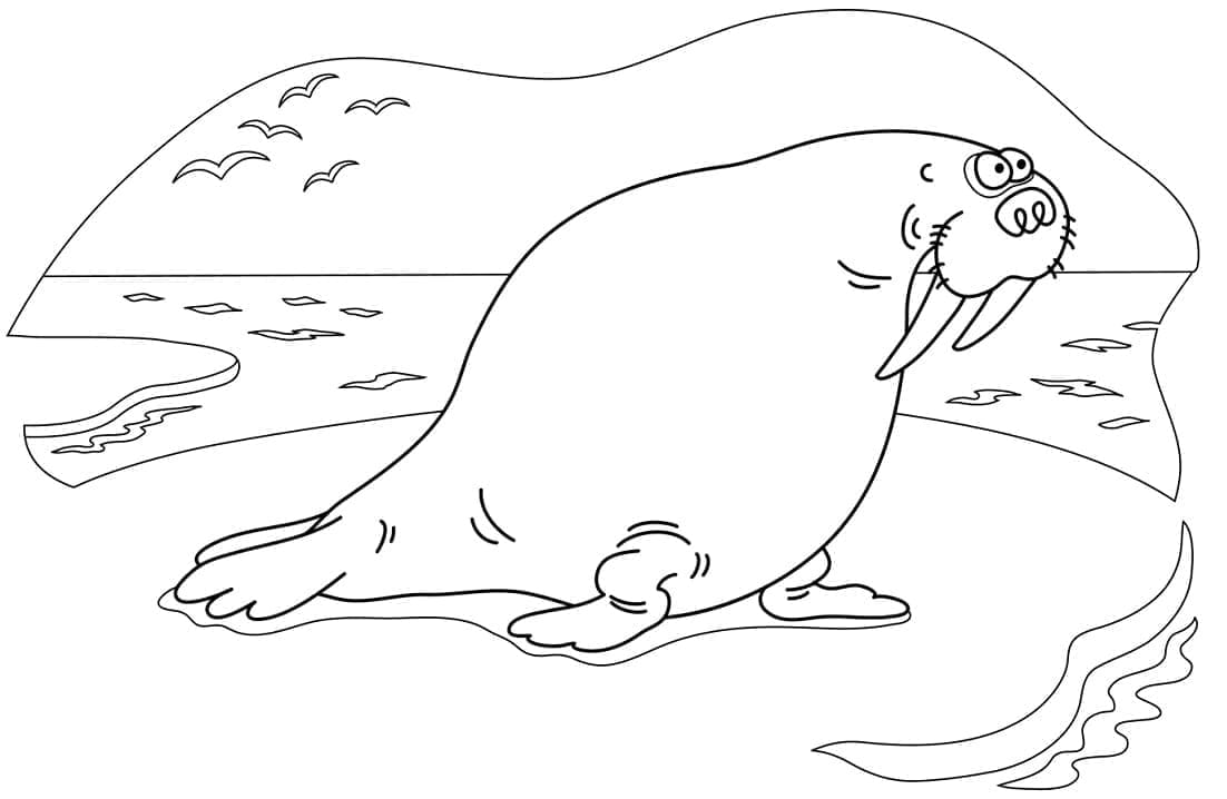 Desenho gratuito Morsa #208671 da colecao Animais para imprimir