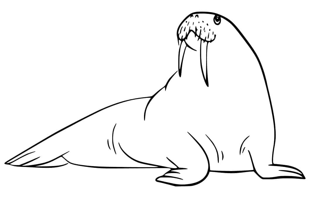 Desenho gratuito Morsa #208676 da colecao Animais para imprimir