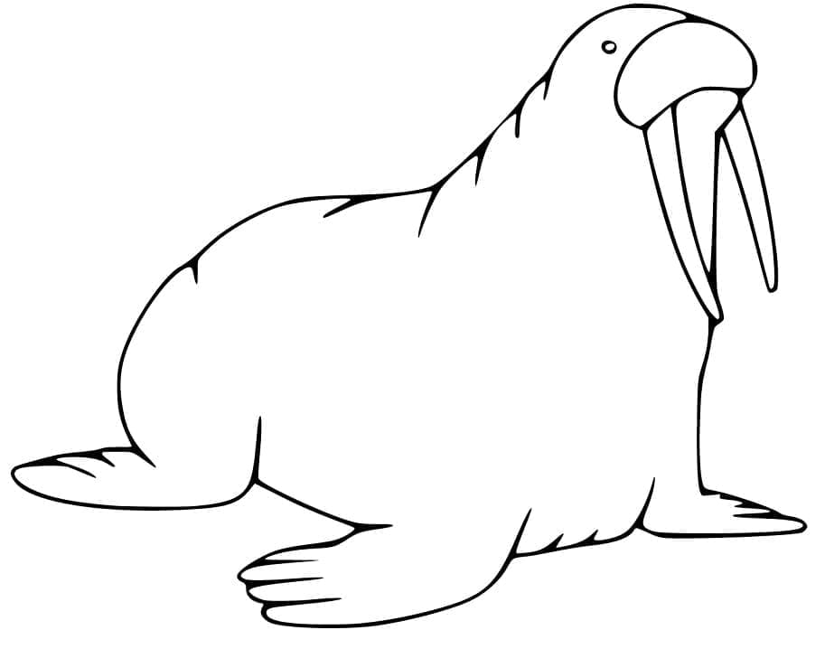 Desenho gratuito Morsa #208678 da colecao Animais para imprimir