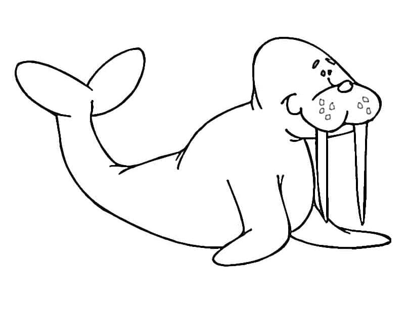 Desenho gratuito Morsa #208680 da colecao Animais para imprimir