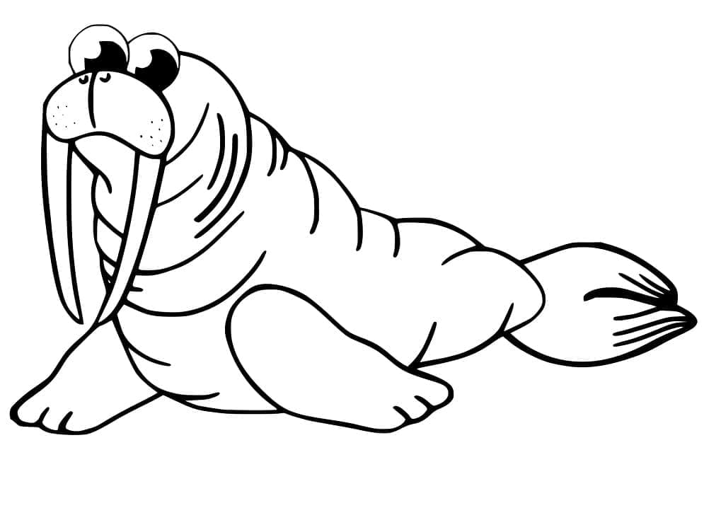 Desenho gratuito Morsa #208681 da colecao Animais para imprimir Desenho gratuito Morsa #208681 da colecao Animais para imprimir