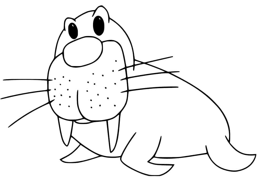 Desenho gratuito Morsa #208682 da colecao Animais para imprimir