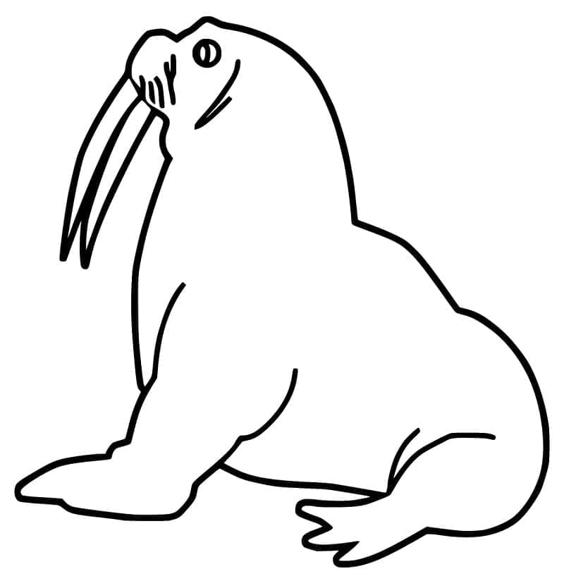 Desenho gratuito Morsa #208696 da colecao Animais para imprimir