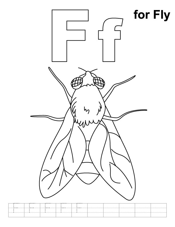 Desenho gratuito Mosca #11129 da colecao Animais para imprimir