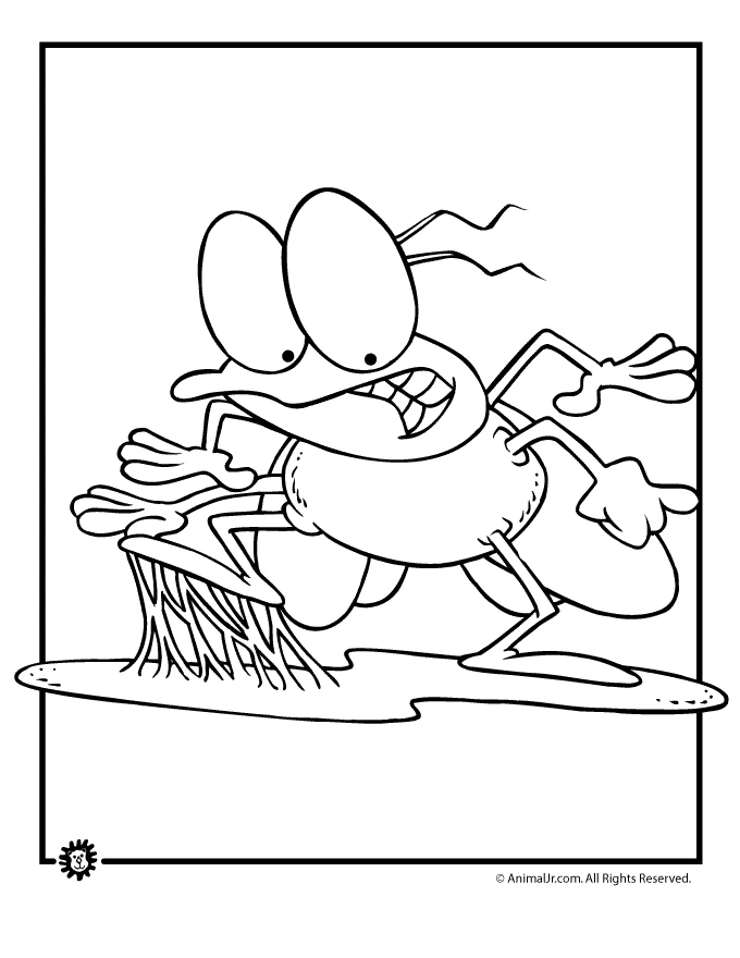 Página para colorir de Mosca #11166 pertencente à coleção Animais
